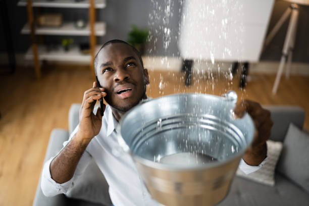 Best Residential water damage restoration  in Gunter, TX