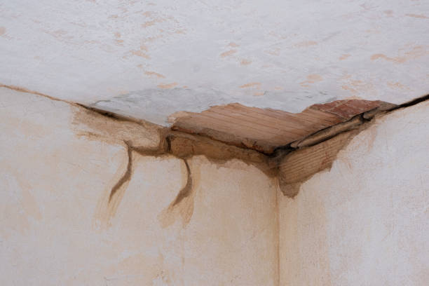 Best Water damage restoration near me  in Gunter, TX