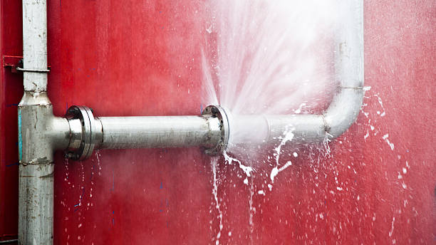 Best Ceiling water damage repair  in Gunter, TX